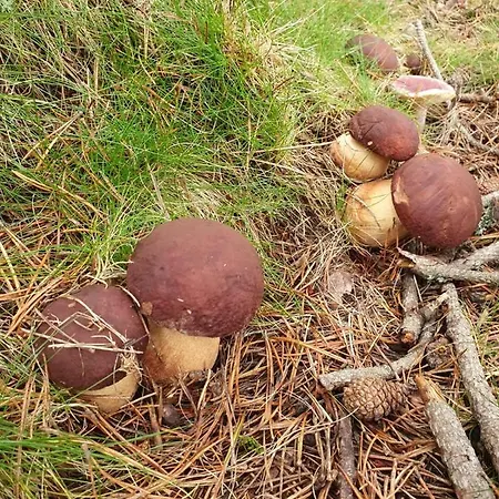 아파트 Allotjaments Vall De Muntanyes 몰로